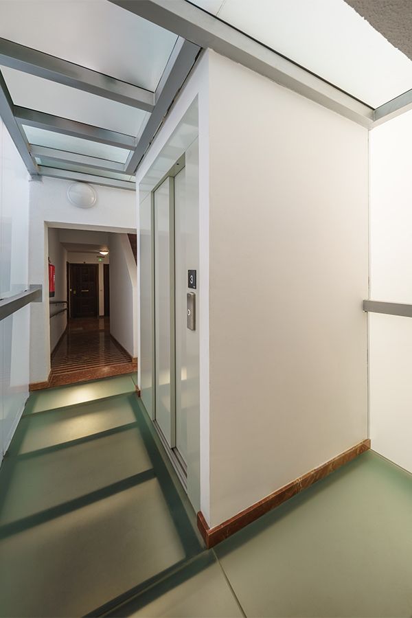 PINTOR-PALOMINO-16-01