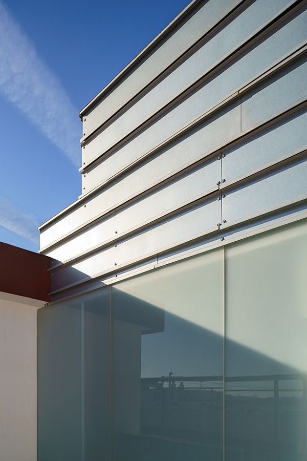 PINTOR-PALOMINO-16-3